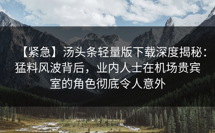 【紧急】汤头条轻量版下载深度揭秘：猛料风波背后，业内人士在机场贵宾室的角色彻底令人意外