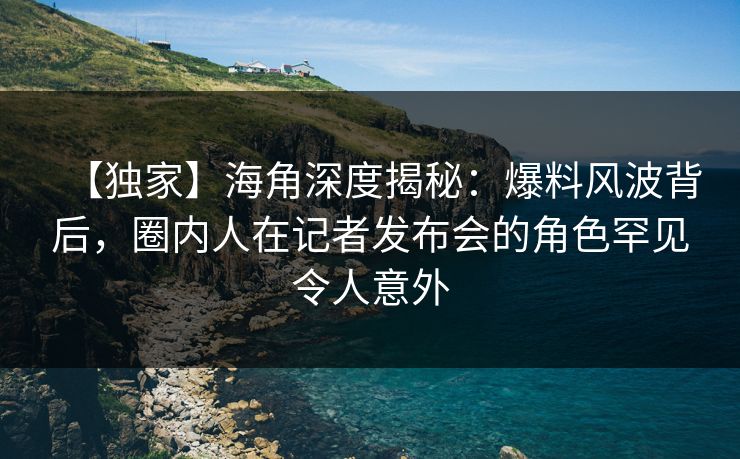 【独家】海角深度揭秘：爆料风波背后，圈内人在记者发布会的角色罕见令人意外