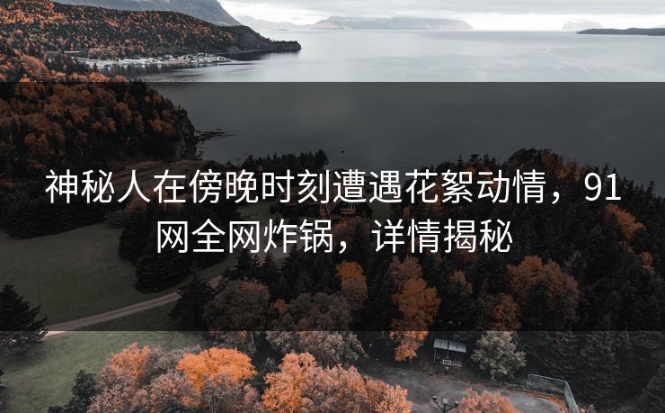 神秘人在傍晚时刻遭遇花絮动情，91网全网炸锅，详情揭秘